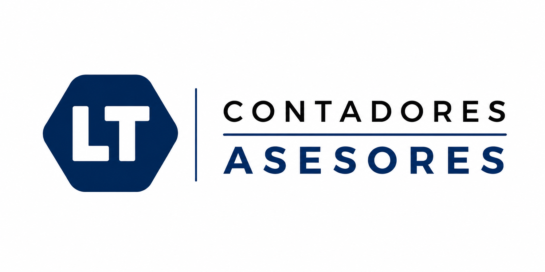 LT Contadores Asesores